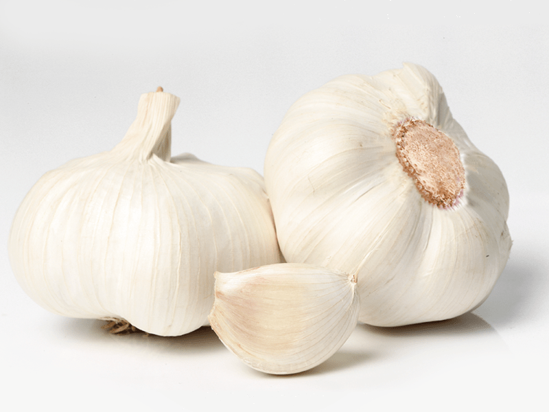 GarlicBlanco