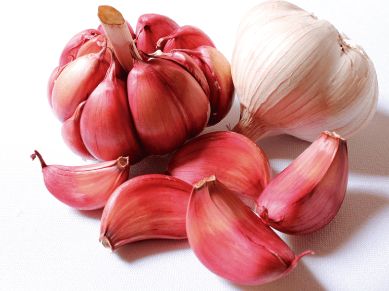 RedGarlic